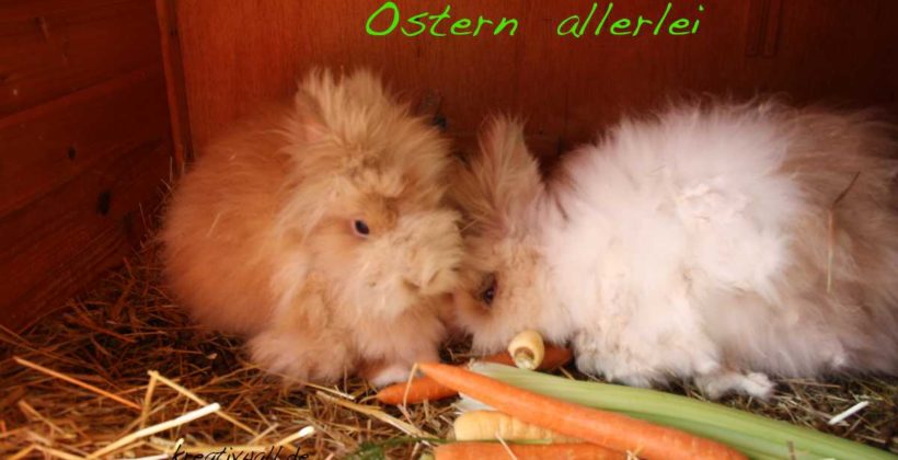 unsere Teddy-Osterhasen